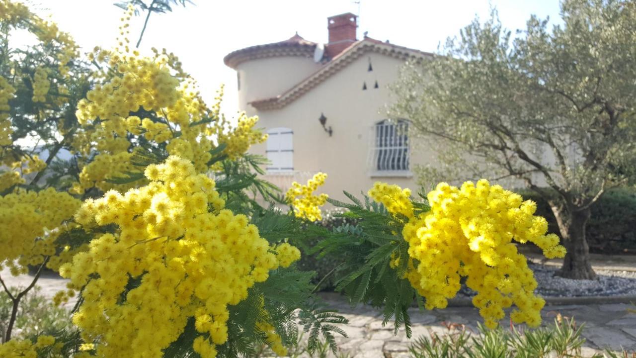 Hotel Le Relais Fleuri Alès Exterior foto